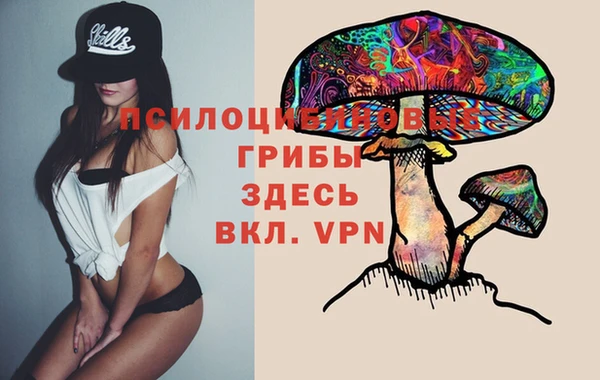 хмурый Алзамай